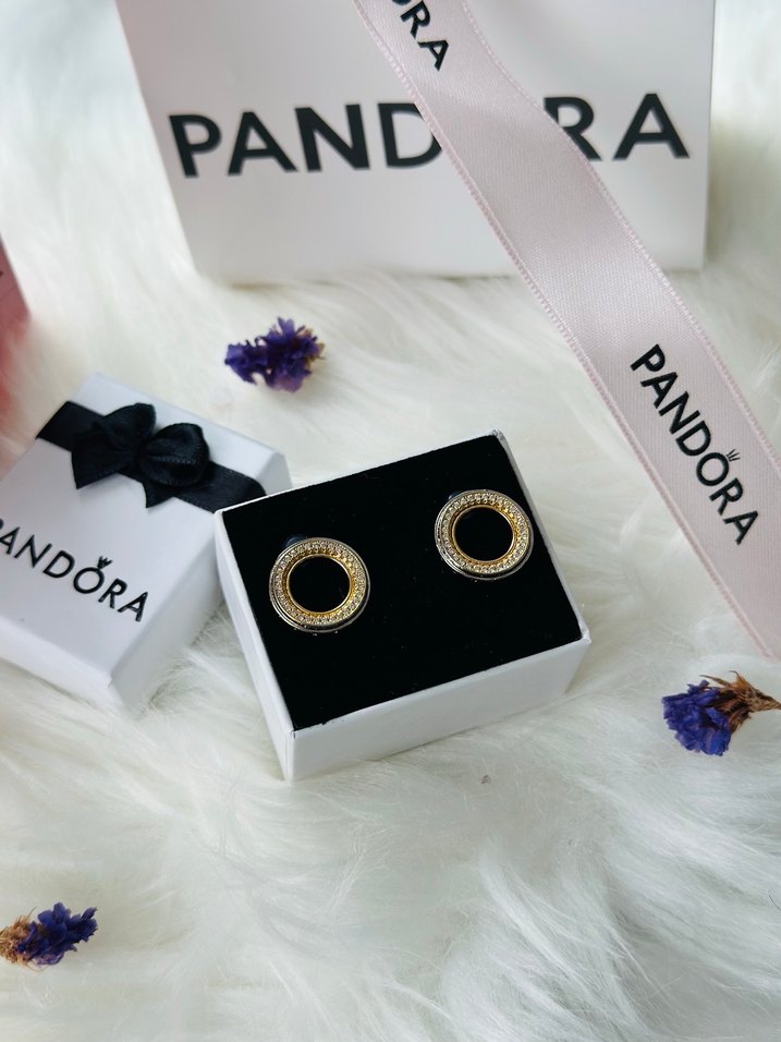 Pandora Işıltılı Yuvarlak Çivi Küpe - Görsel 3