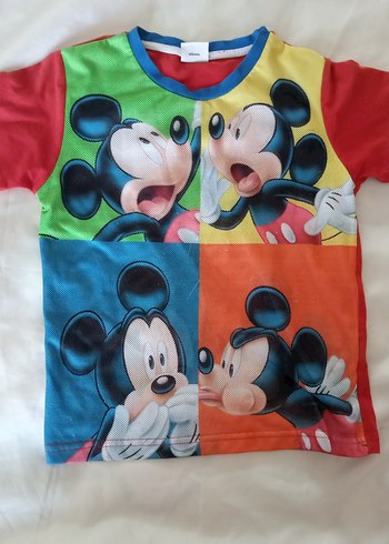 Walt Disney World 4 Yaş