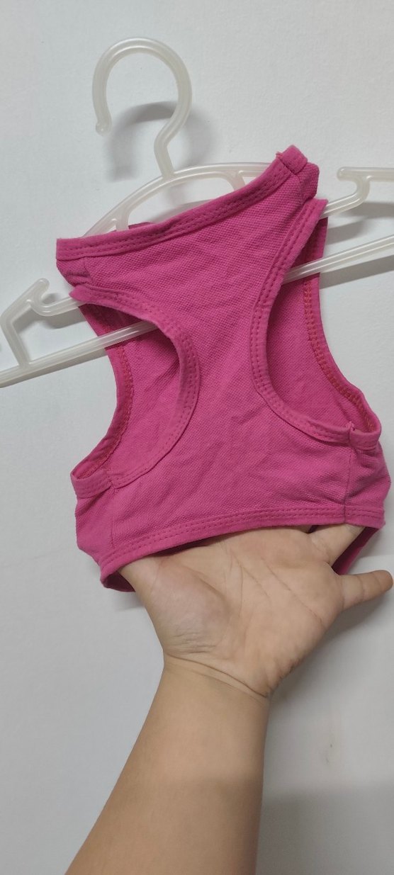 Pembe Kedi köpek Kıyafeti - Görsel 2