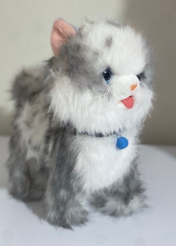 Diğer Gri Peluş Oyuncak Kedi