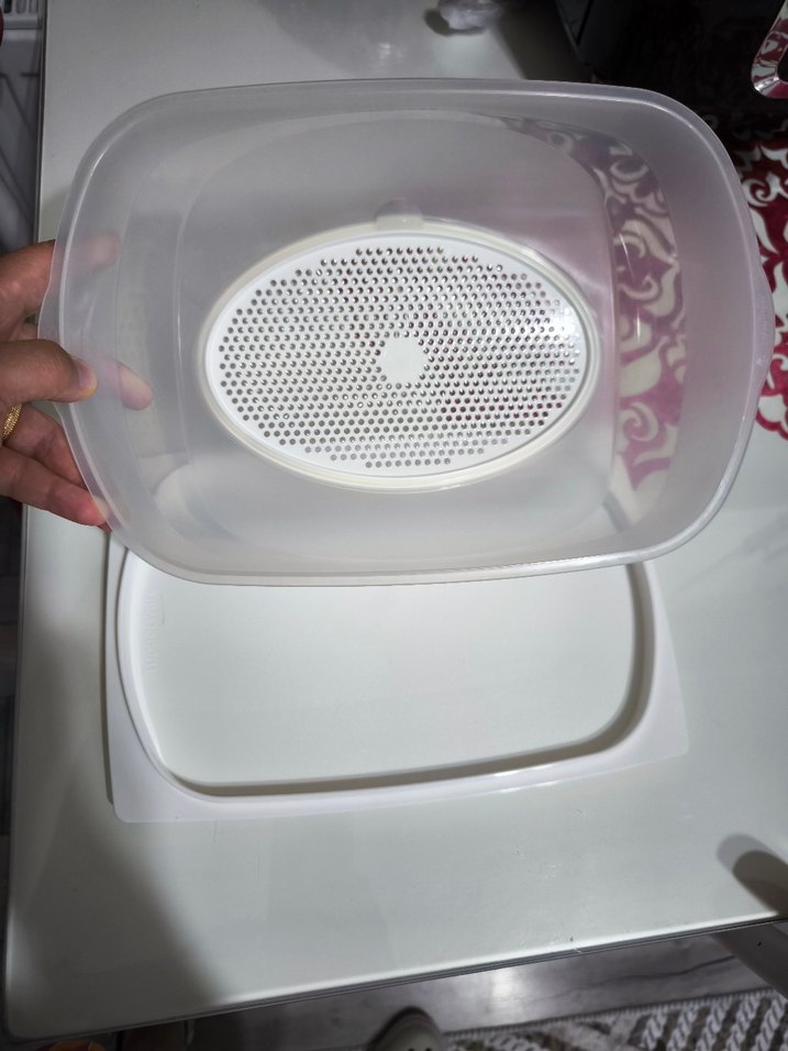 Tupperware büyük boy peynir dunyasi - Görsel 2