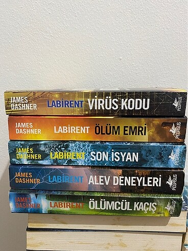 Labirent Serisi