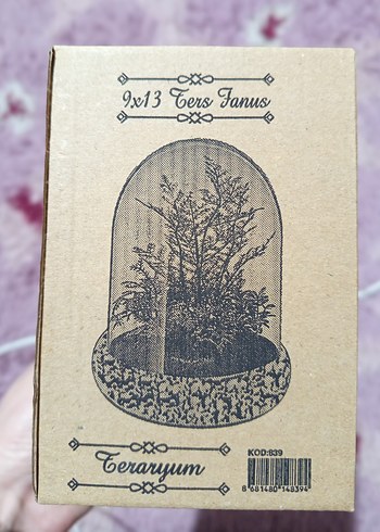 Kırmızı Gül ve Öğretmen Figürlü Ev Dekoru - Görsel 4