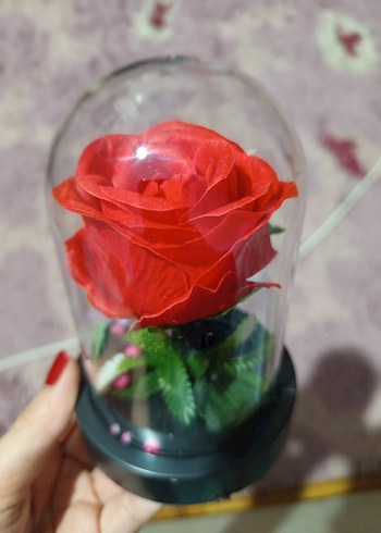 Kırmızı Gül ve Öğretmen Figürlü Ev Dekoru - Görsel 2