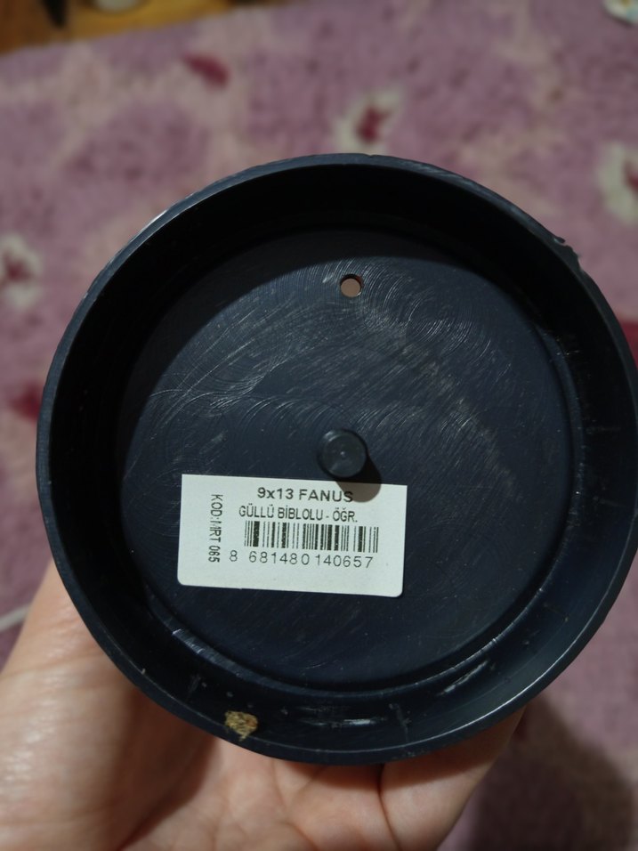 Kırmızı Gül ve Öğretmen Figürlü Ev Dekoru - Görsel 5