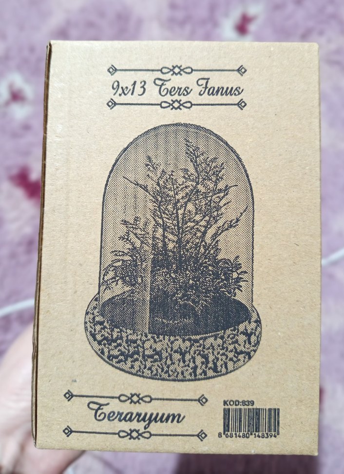 Kırmızı Gül ve Öğretmen Figürlü Ev Dekoru - Görsel 4