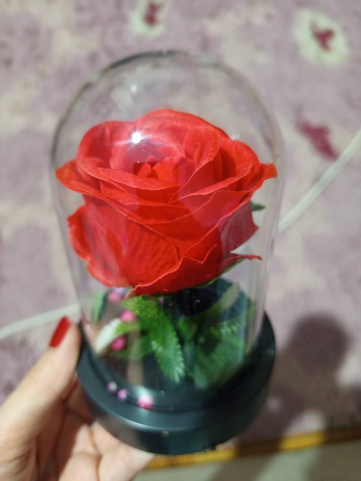 Kırmızı Gül ve Öğretmen Figürlü Ev Dekoru - Görsel 2