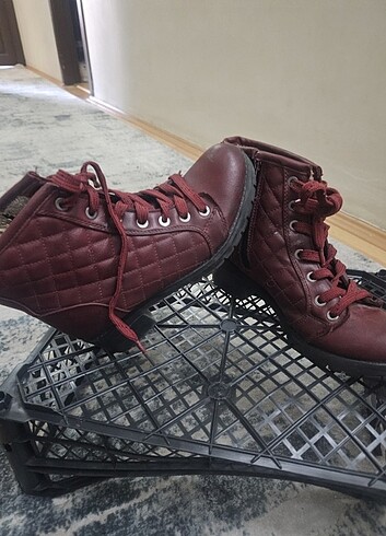 Scokors bordo bot