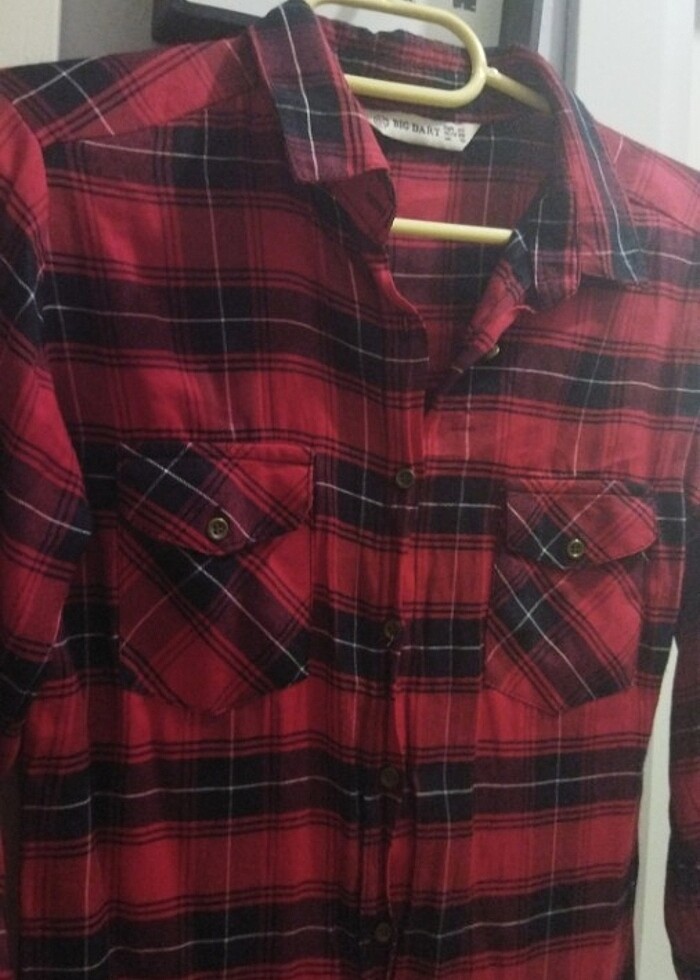 Gömlek oduncu  - Görsel 2