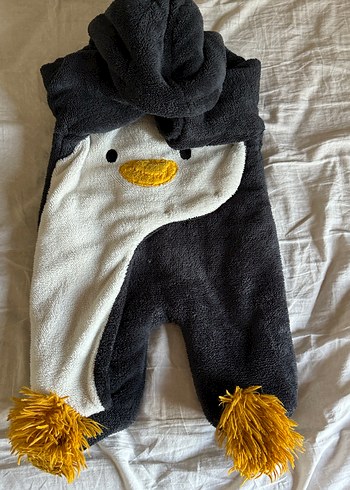 Kozmonot - Görsel 2