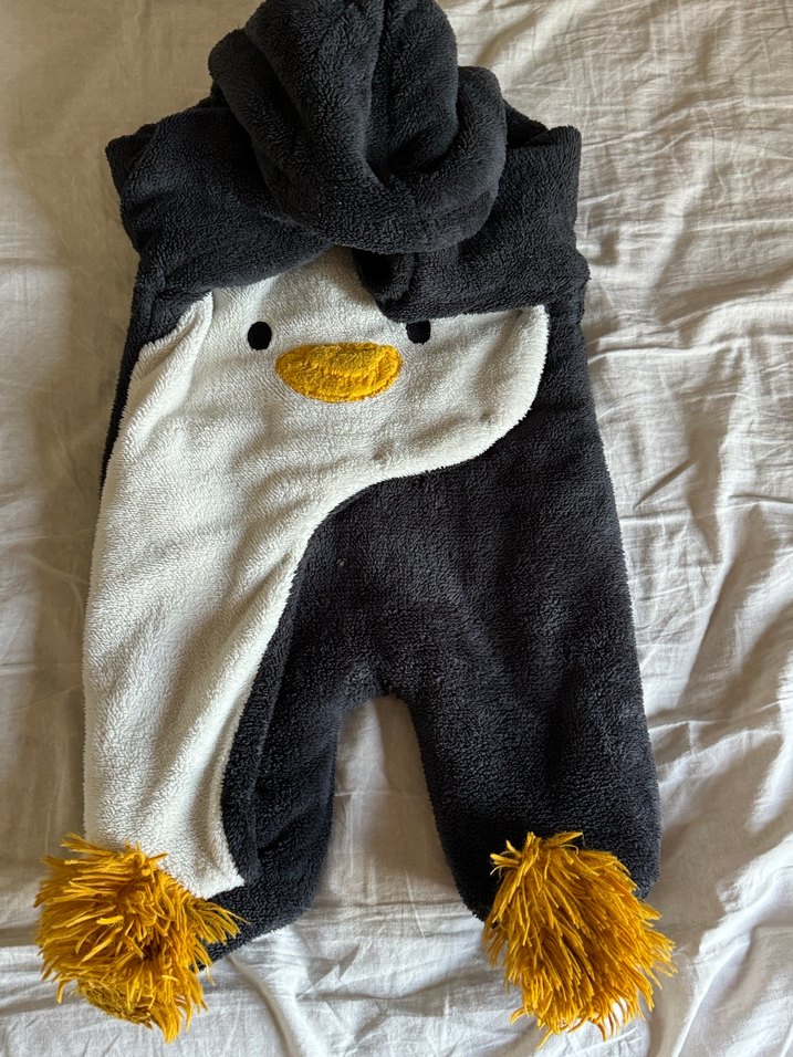 Kozmonot - Görsel 2