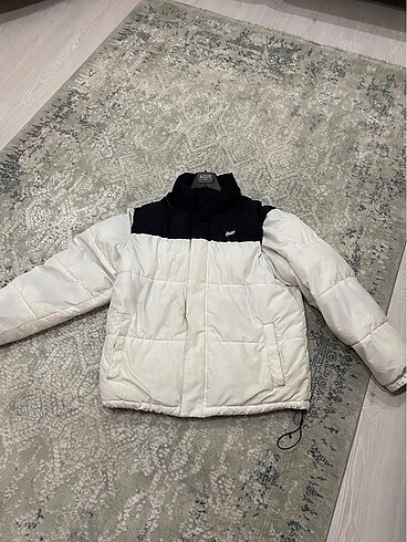Stwd pul bear mont