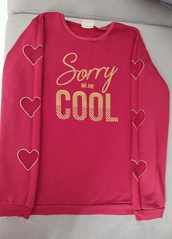 LC Waikiki LCW sweat