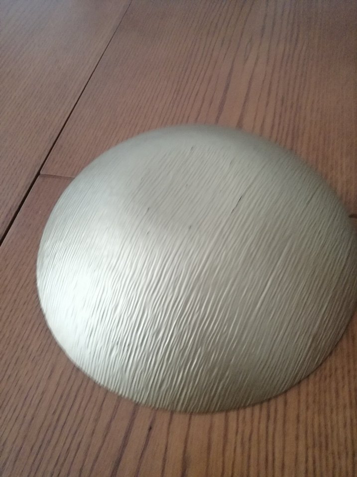 Bej Parlak Modern Yemek Tabağı - Görsel 4