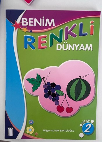 Benim Renkli Dünya Çocuk Kitapları Seti - Görsel 4