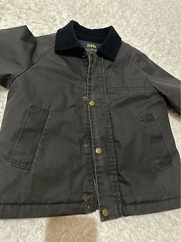 Zara Suudcollection