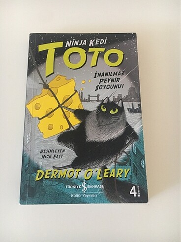 Toto Ninja Kedi