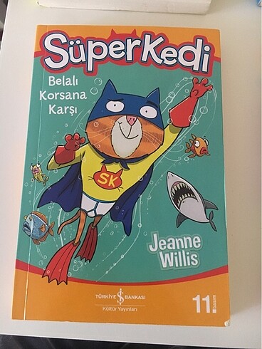 Süper kedi