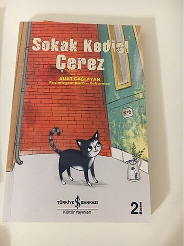 Sokak kedisi çerez