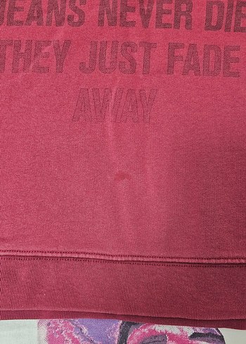 Kırmızı Lee Baskılı Sweatshirt - Görsel 3