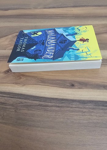 Malamander - Thomas Taylor - Görsel 3