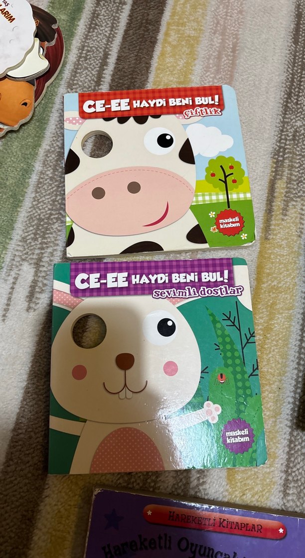 Sevimli Dostlar - CE-EE Haydi Beni Bul! Çocuk Kitabı - Görsel 2