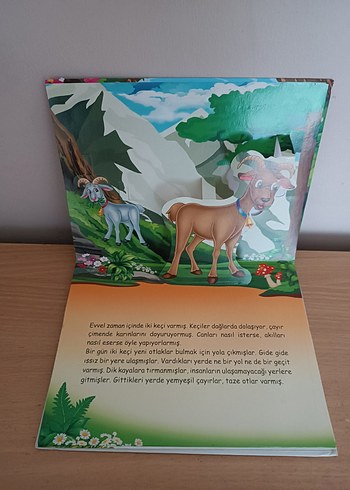 Altın Yumurtlayan Kaz Çocuk Kitabı - Görsel 9