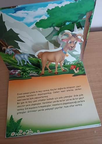 Altın Yumurtlayan Kaz Çocuk Kitabı - Görsel 10