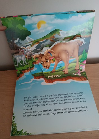 Altın Yumurtlayan Kaz Çocuk Kitabı - Görsel 8