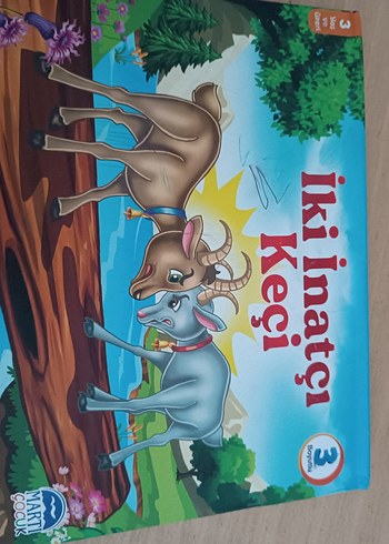 Altın Yumurtlayan Kaz Çocuk Kitabı - Görsel 7