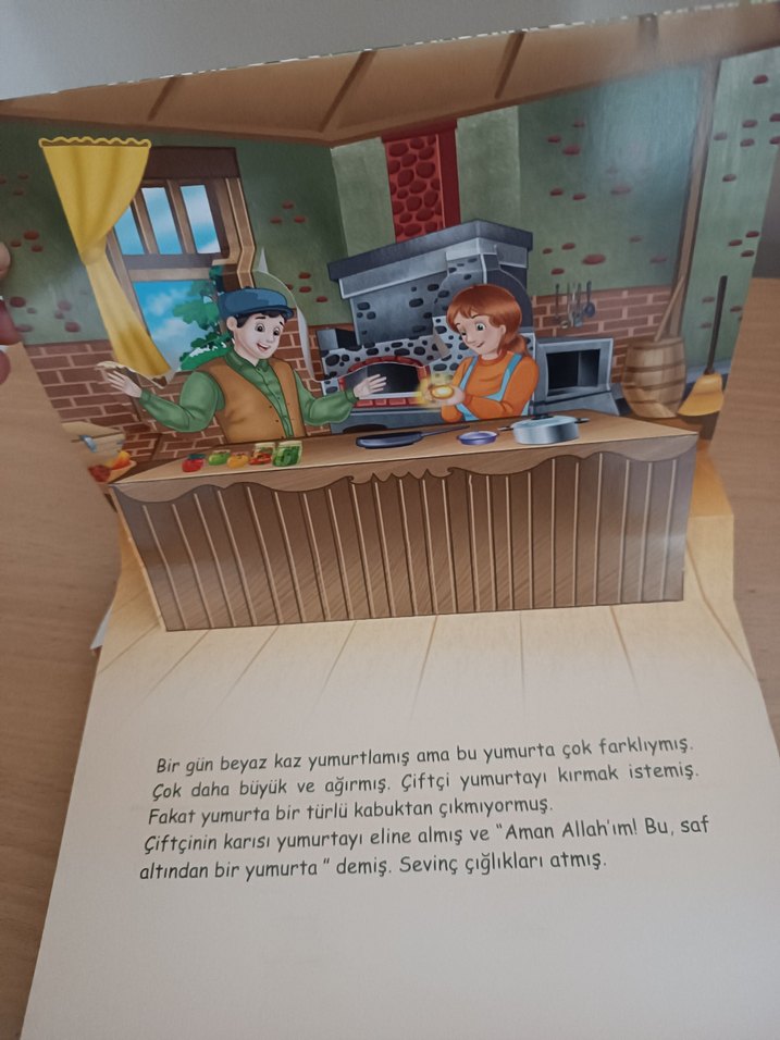 Altın Yumurtlayan Kaz Çocuk Kitabı - Görsel 4