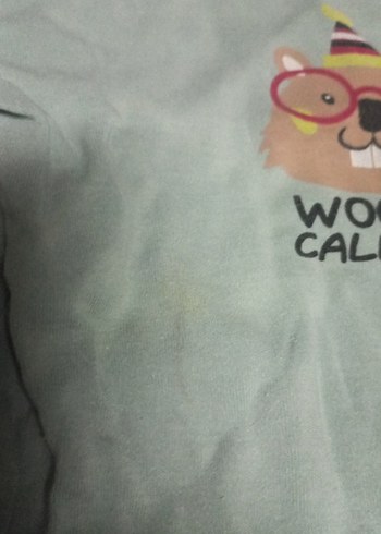 UCRETSIZ Kısa Kollu Yeşil Bebek Zıbını - Görsel 2