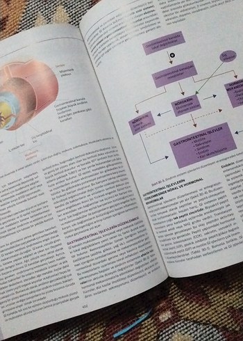 İnsan Fizyolojisi - Prof. Dr. Erdal AGAR - Görsel 3