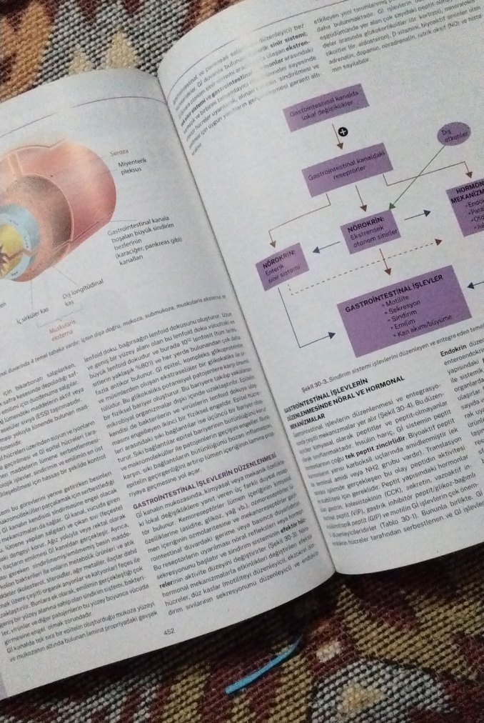 İnsan Fizyolojisi - Prof. Dr. Erdal AGAR - Görsel 3