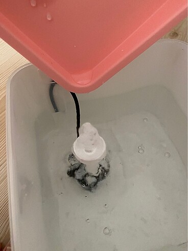 kedi su pınarı - Görsel 5