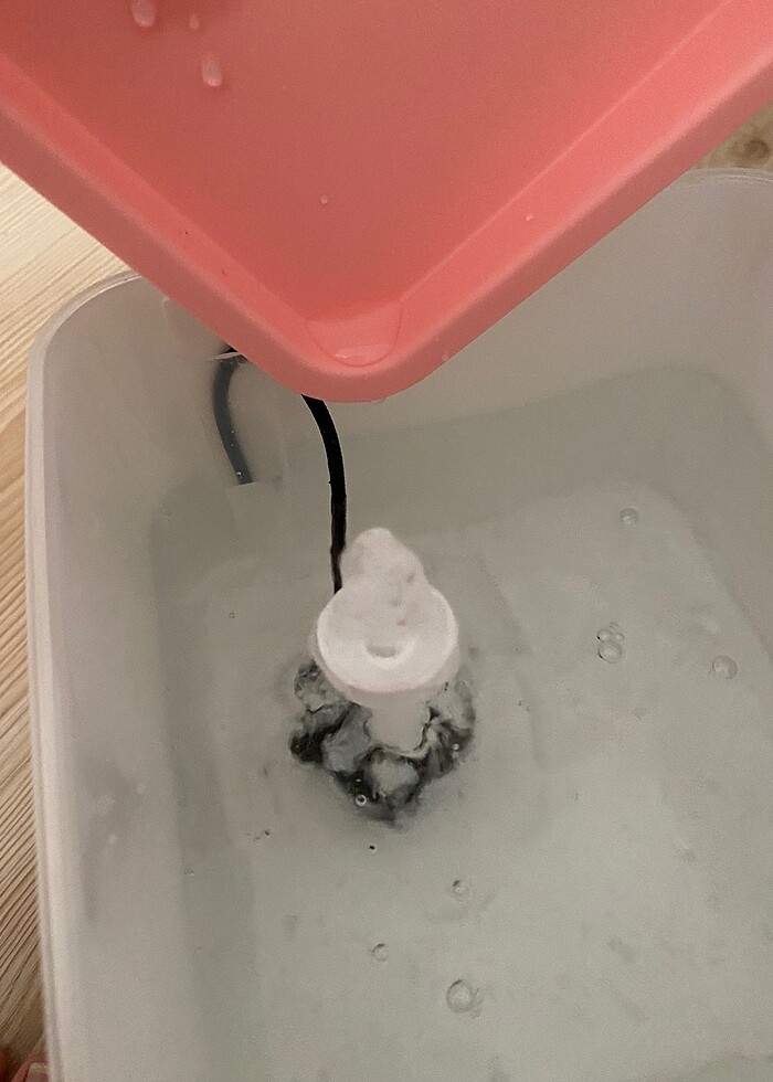 kedi su pınarı - Görsel 5