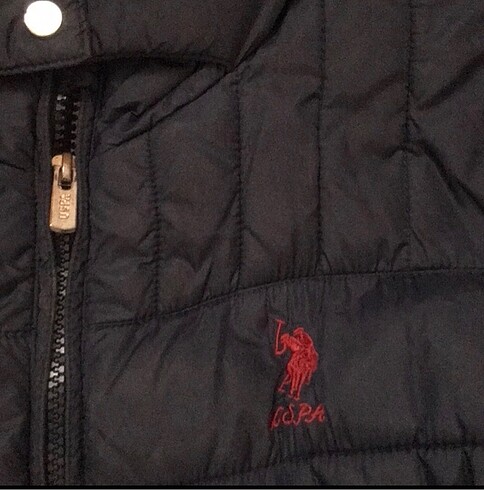 m Beden U.S Polo Assn.mont