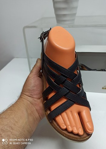 Diğer Çapraz Bantlı Anatomik Tabanlı