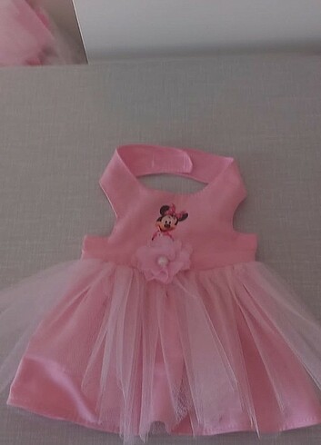 minnie mouse köpek ve kedi elbise