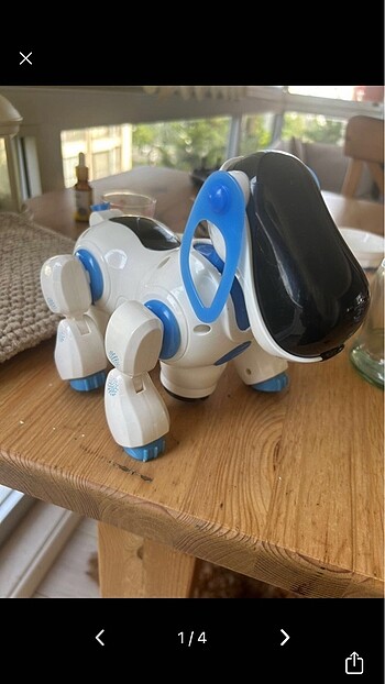 Diğer Robot köpek sağlam