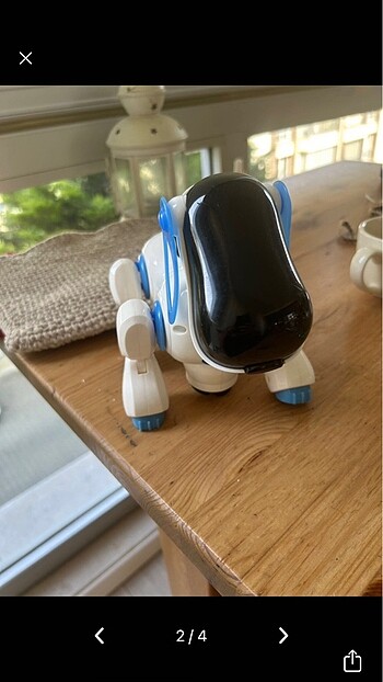  Beden Renk Robot köpek sağlam