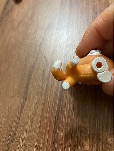 Beden Renk Lps mınısler