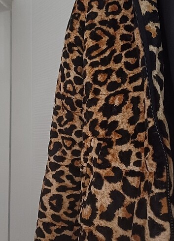 Leopar mont