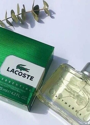 Lacoste Essential erkek parfüm