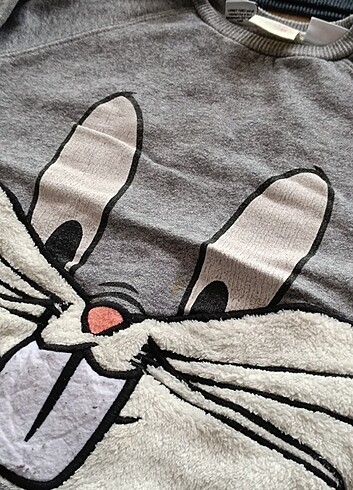 Zara sweatshirt 