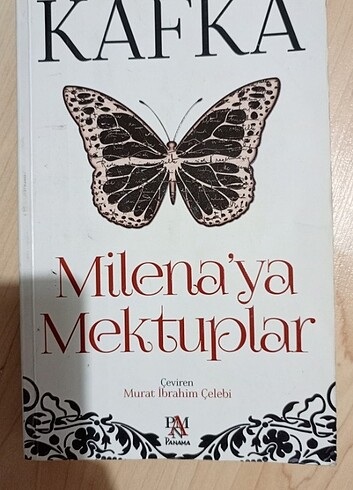 Kitap