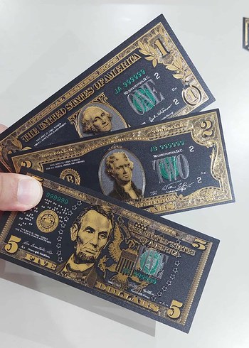 Beden Renk ABD DOLAR SET