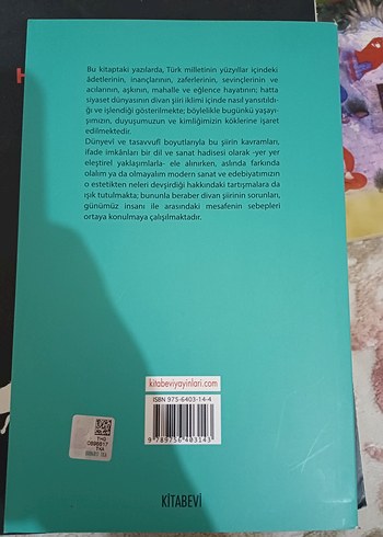 Divanlar Arasında - Mehmed Çavuşoğlu - Görsel 2