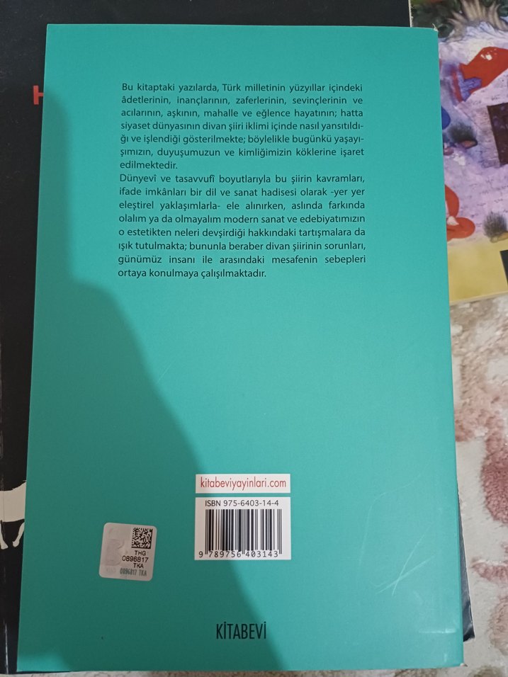 Divanlar Arasında - Mehmed Çavuşoğlu - Görsel 2