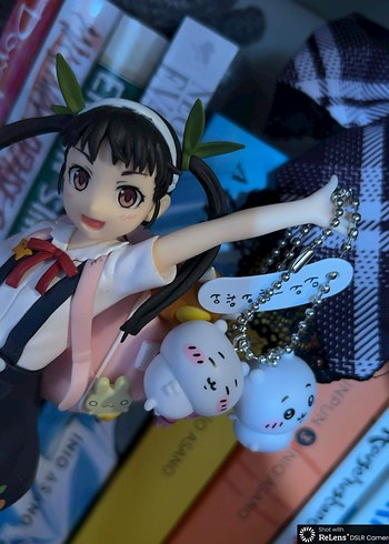 mayoi hachikuji figur